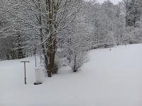20260329_075459 (1024x768).jpg